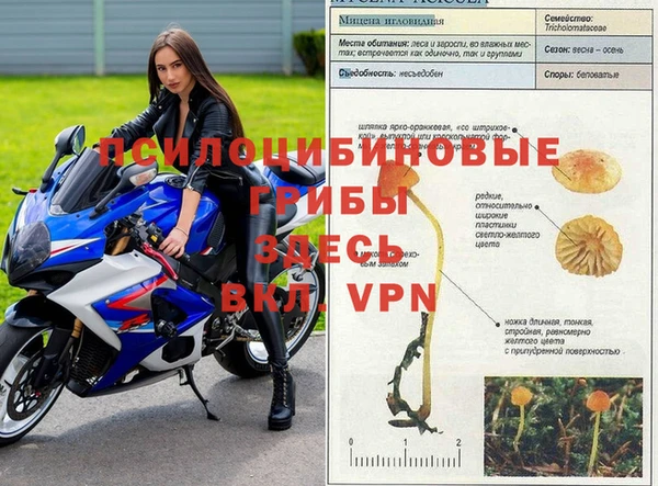 прущие крисы Алексеевка