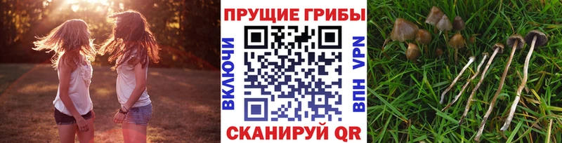 цены наркотик  Серов  Псилоцибиновые грибы мицелий 